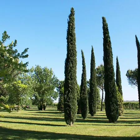 Elegant In With Garden And Pool Faenza