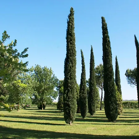 Elegant In With Garden And Pool Faenza