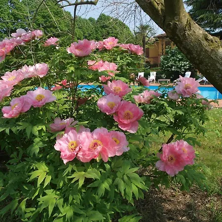 Elegant In With Garden And Pool בית נופש
