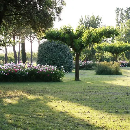 Elegant In With Garden And Pool Faenza