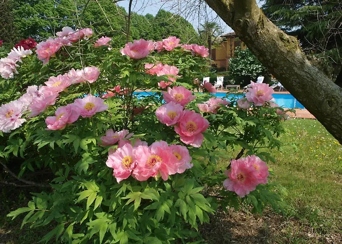 Hébergement de vacances Elegant In With Garden And Pool