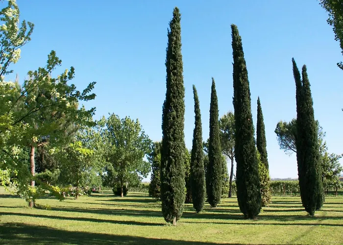 Elegant In With Garden And Pool Faenza