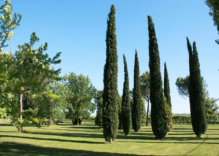 別荘 Elegant In With Garden And Pool ファエンツァ