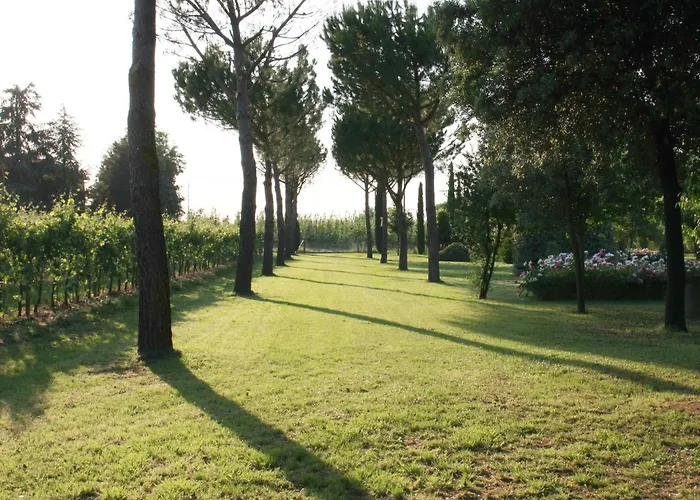 Hébergement de vacances Elegant In With Garden And Pool Faenza